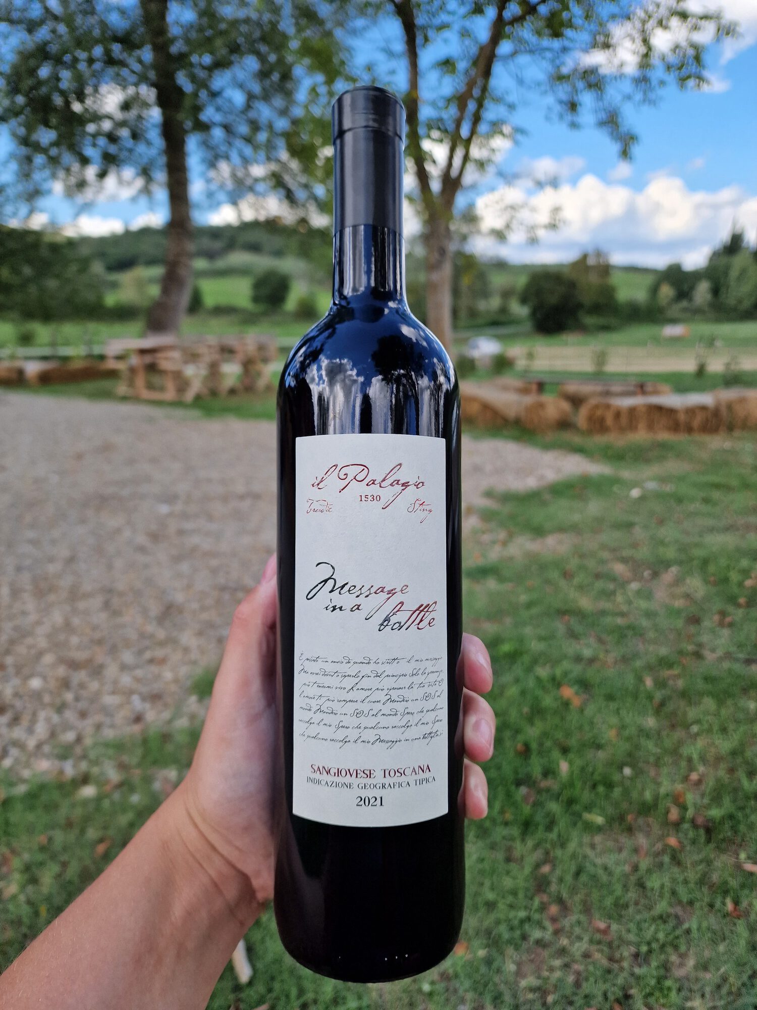 Il Palagio in Toscane: wijn van Sting en Trudie Styler