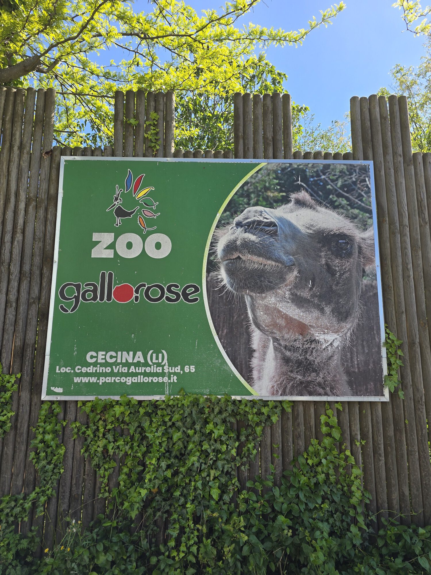 Parco Gallorose – dierentuin in Toscane
