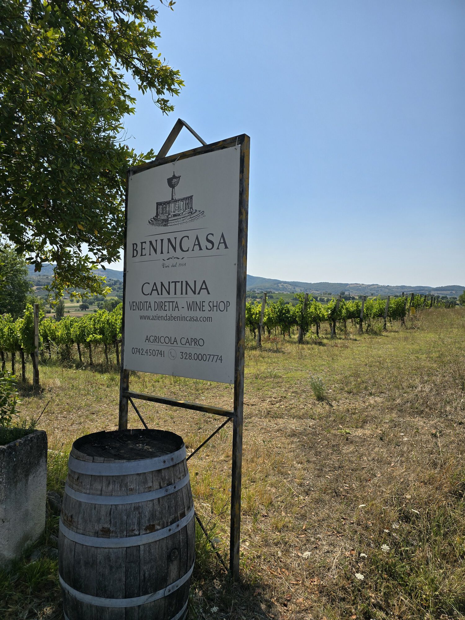 Een bezoek aan Cantina Benincasa: kleinschalig, gastvrij en vol karakter