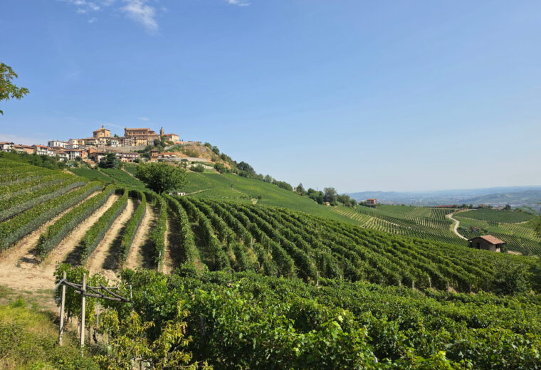 La Morra – markt, truffels en uitzicht over de Langhe