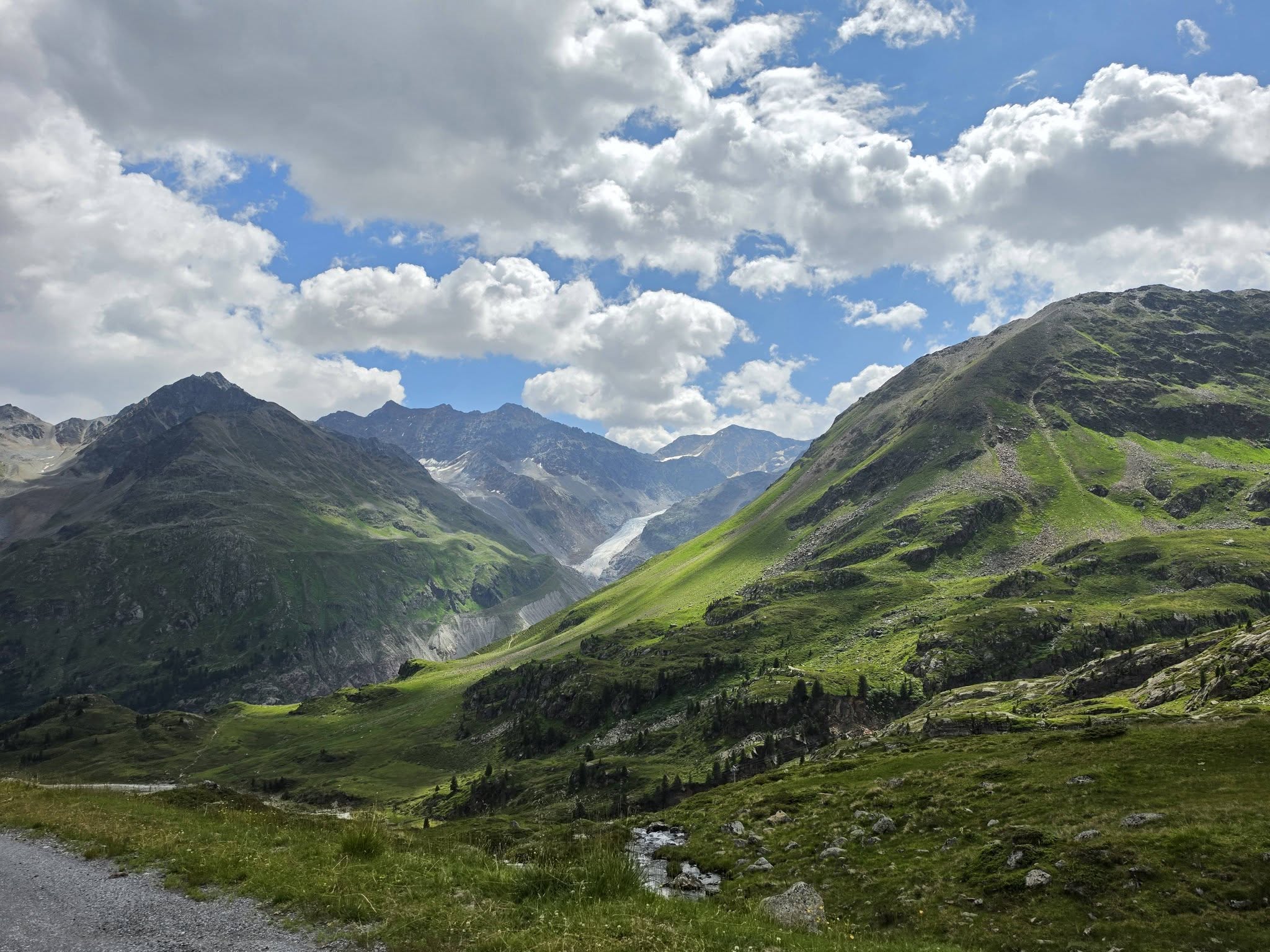 Kan een afbeelding zijn van Pyrenese berghond, gras en berg