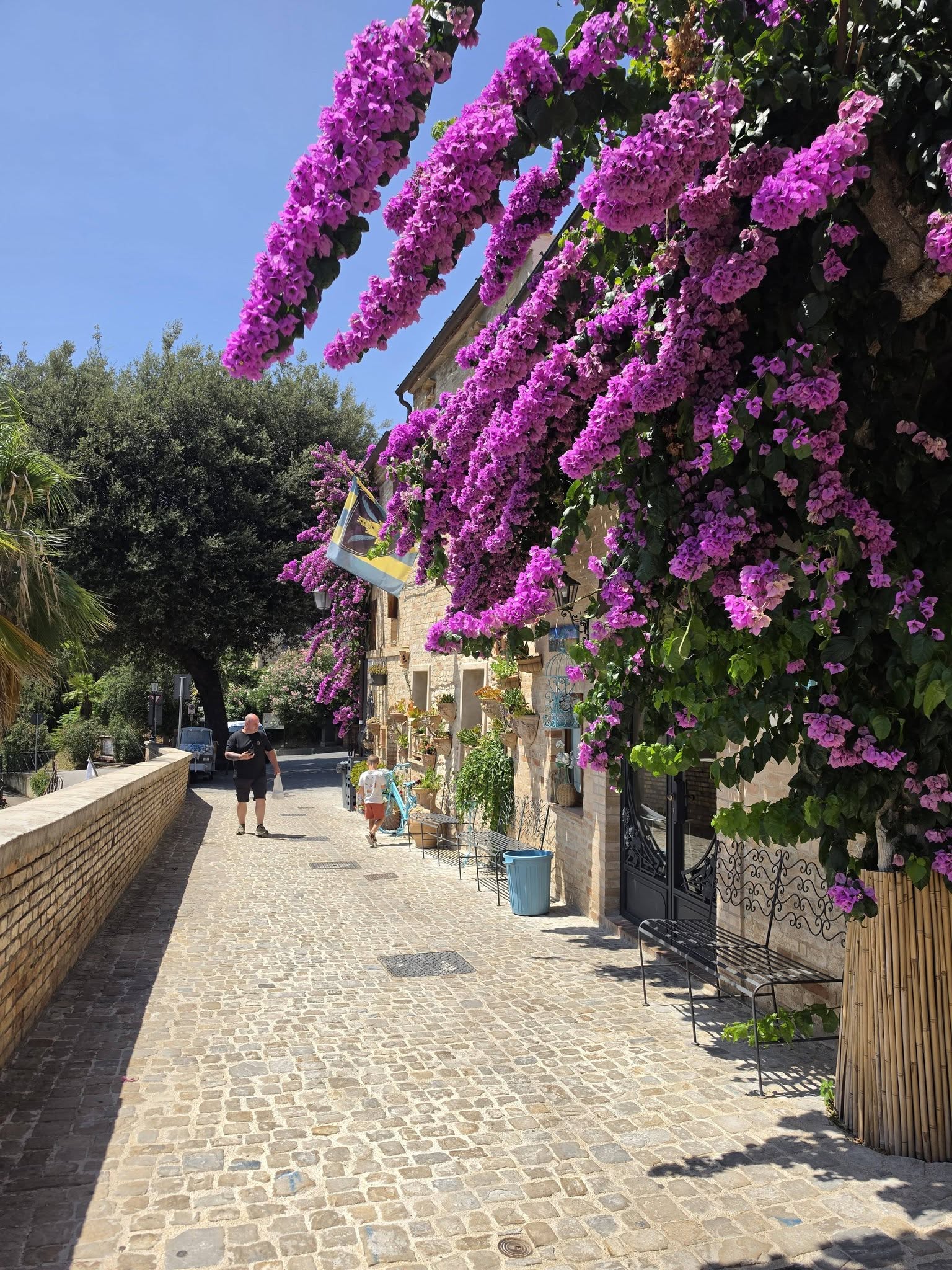 Kan een afbeelding zijn van bloem en Camogli