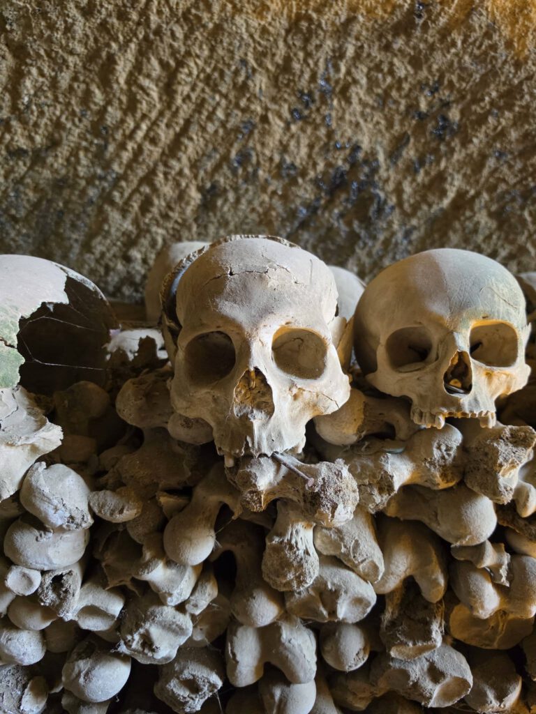 Kan een afbeelding zijn van bot en Catacomben van Parijs