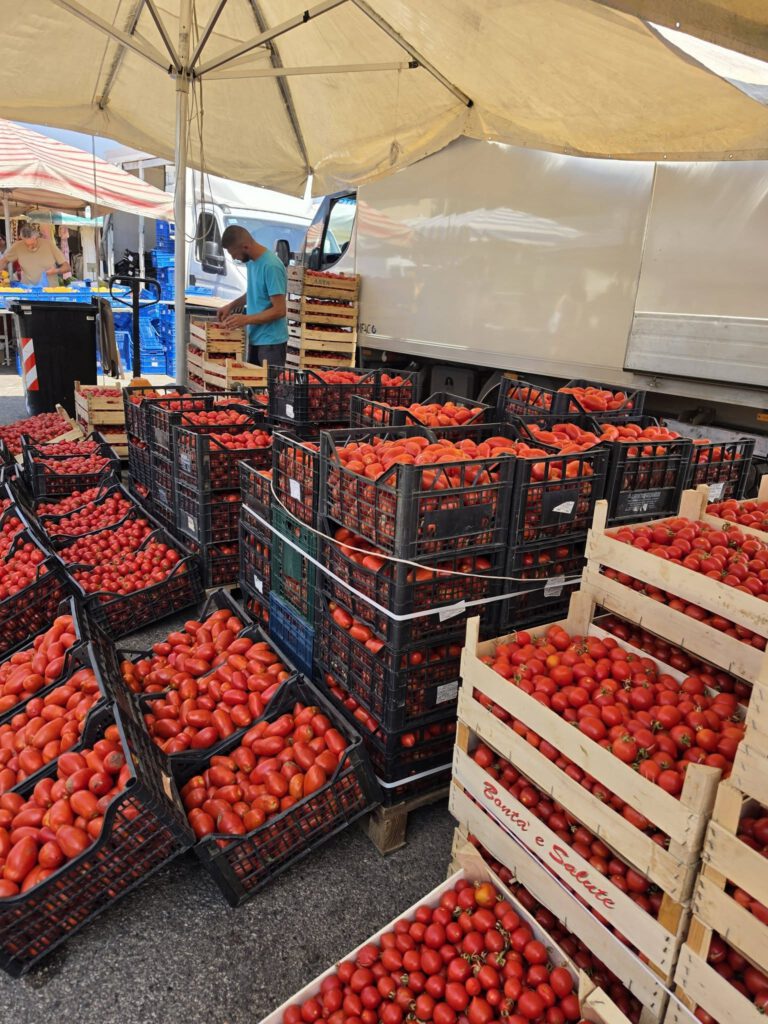Kan een afbeelding zijn van fruit