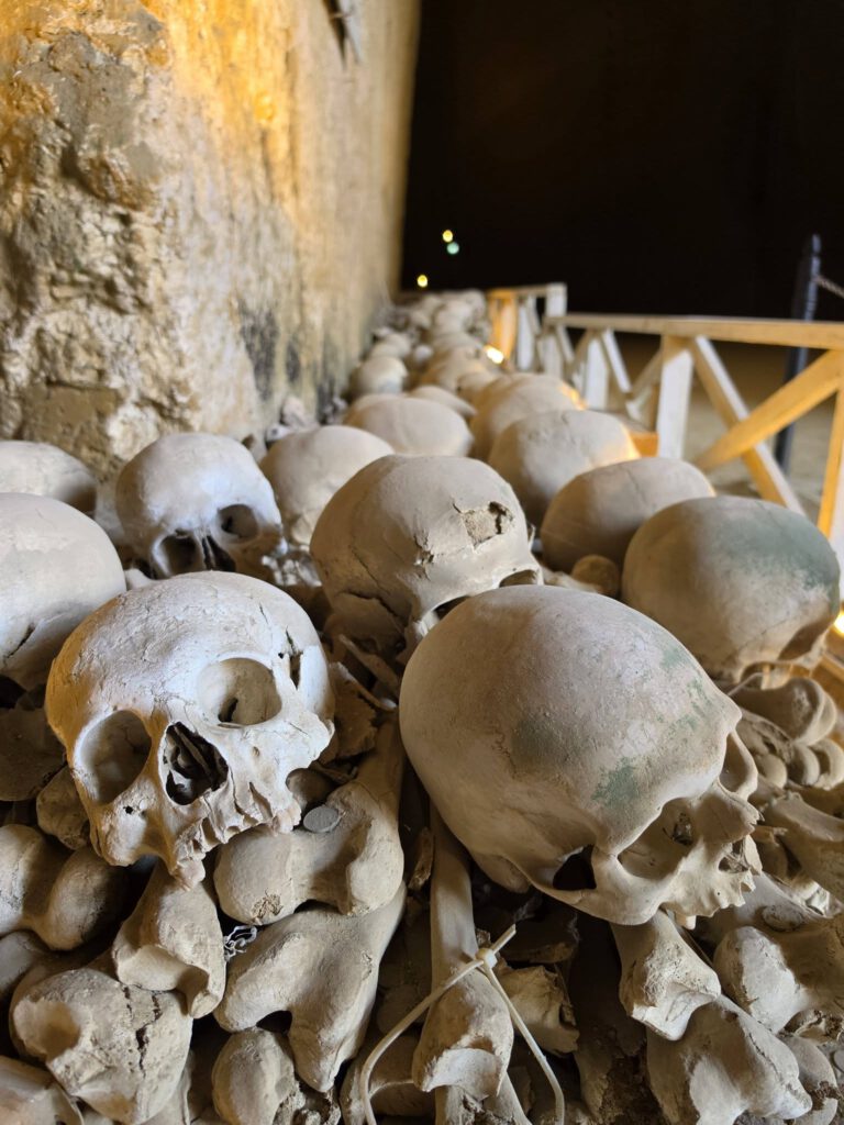 Kan een afbeelding zijn van bot en Catacomben van Parijs