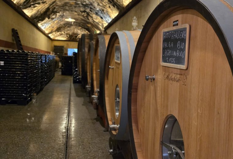 Marchisio Family in Roero: Arneis, amforen en bijzondere bubbels